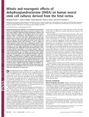 (DHEA) on Human Neural Stem Cell Cultures Derived from the Fetal Cortex