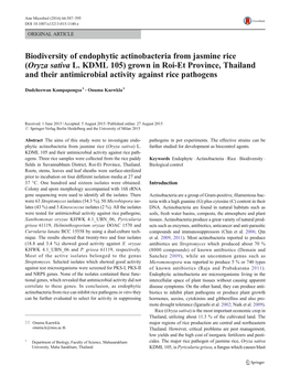 Biodiversity of Endophytic Actinobacteria from Jasmine Rice (Oryza Sativa L. KDML 105) Grown in Roi-Et Province, Thailand and Th