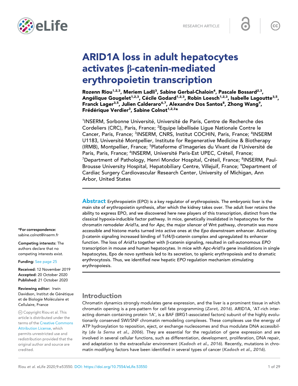 ARID1A Loss in Adult Hepatocytes Activates B-Catenin-Mediated