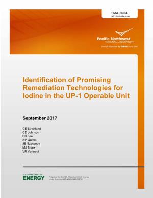 Identification of Promising Remediation Technologies for Iodine in the UP-1 Operable Unit