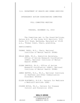 Transcript of the December 14, 2010 IACC Meeting