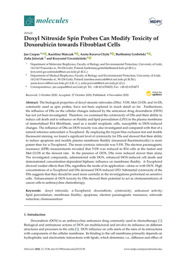 Doxyl Nitroxide Spin Probes Can Modify Toxicity of Doxorubicin Towards Fibroblast Cells