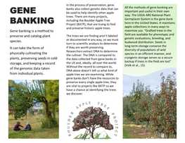 Gene Banking Are GENE Be Used to Help Identify Other Apple Important and Useful in Their Own Trees
