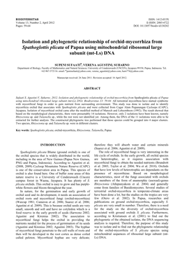 Isolation and Phylogenetic Relationship of Orchid-Mycorrhiza from Spathoglottis Plicata of Papua Using Mitochondrial Ribosomal Large Subunit (Mt-Ls) DNA