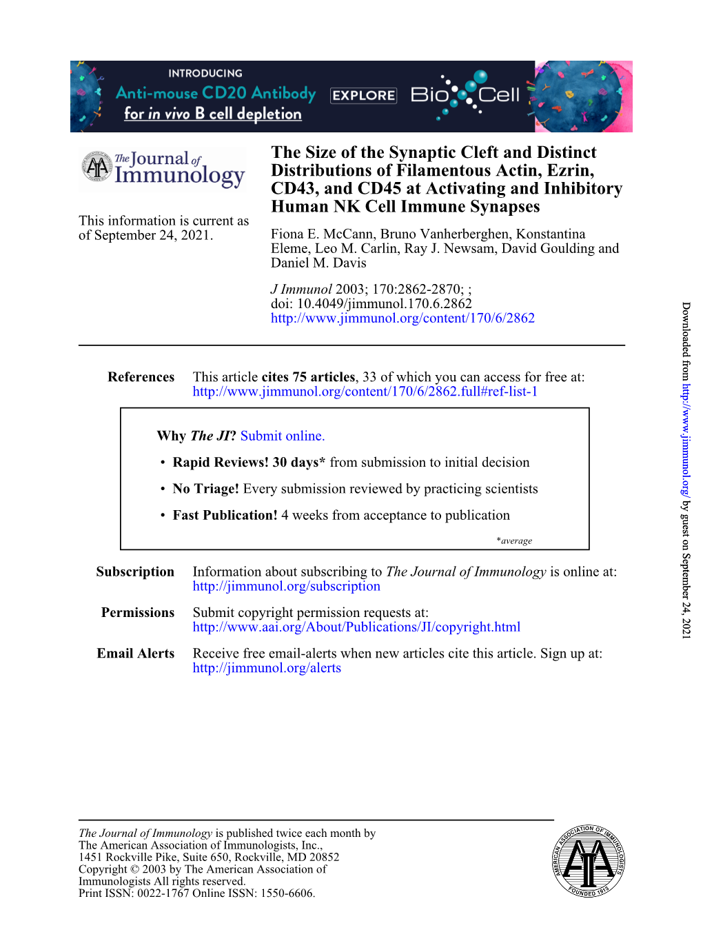 Human NK Cell Immune Synapses CD43