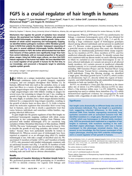 FGF5 Is a Crucial Regulator of Hair Length in Humans