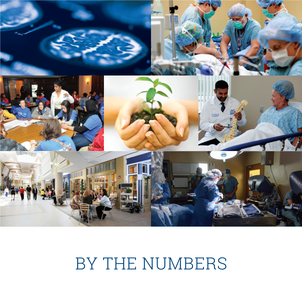 By the Numbers Our Vision