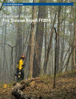 Fire Division Report FY2014
