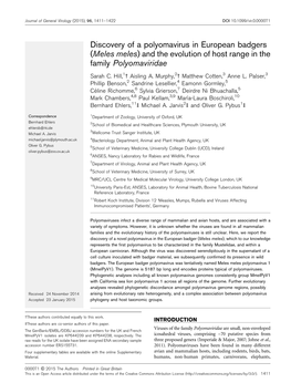 Discovery of a Polyomavirus in European Badgers (Meles Meles) and the Evolution of Host Range in the Family Polyomaviridae