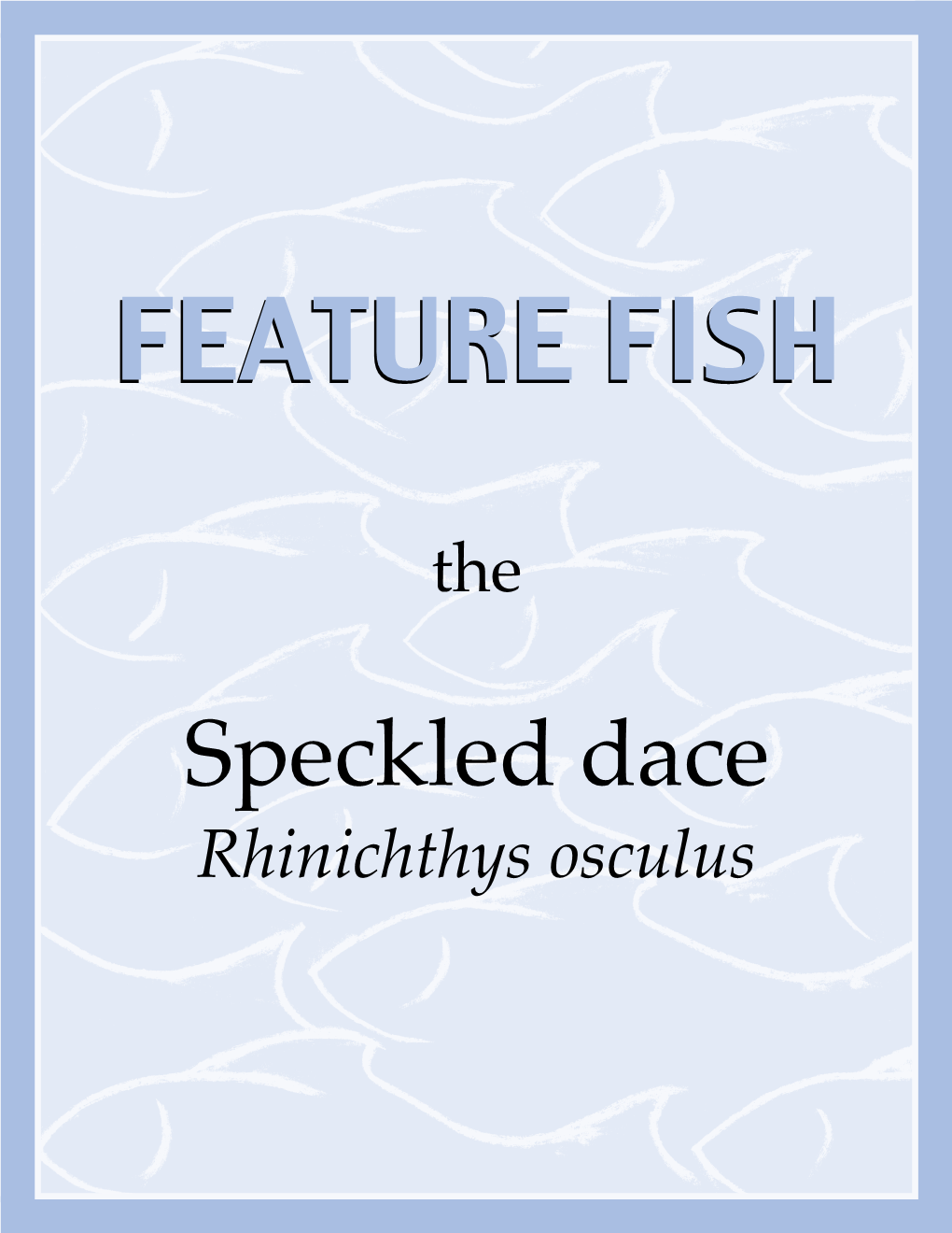 Speckled Dace Rhinichthys Osculus FEATURE FISH