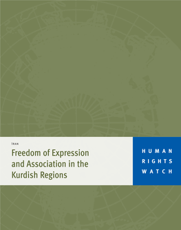 Freedom of Expression and Association in the Kurdish Regions