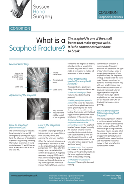 What Is a Scaphoid Fracture?