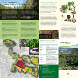 Faszination Bannwald Nutzungsgeschichte Des Waldes Wilder See – Hornisgrinde – Spiegelbild Der Gesellschaft