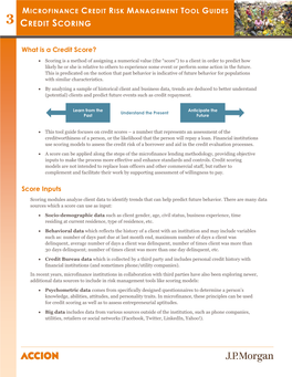 Microfinance Credit Risk Management Tool Guides 3 Credit Scoring