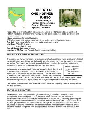 Greater One-Horned Rhinoceros Or Indian Rhino