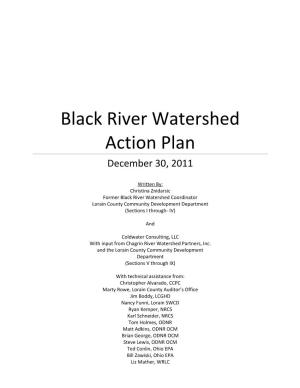 Black River Watershed Action Plan December 30, 2011
