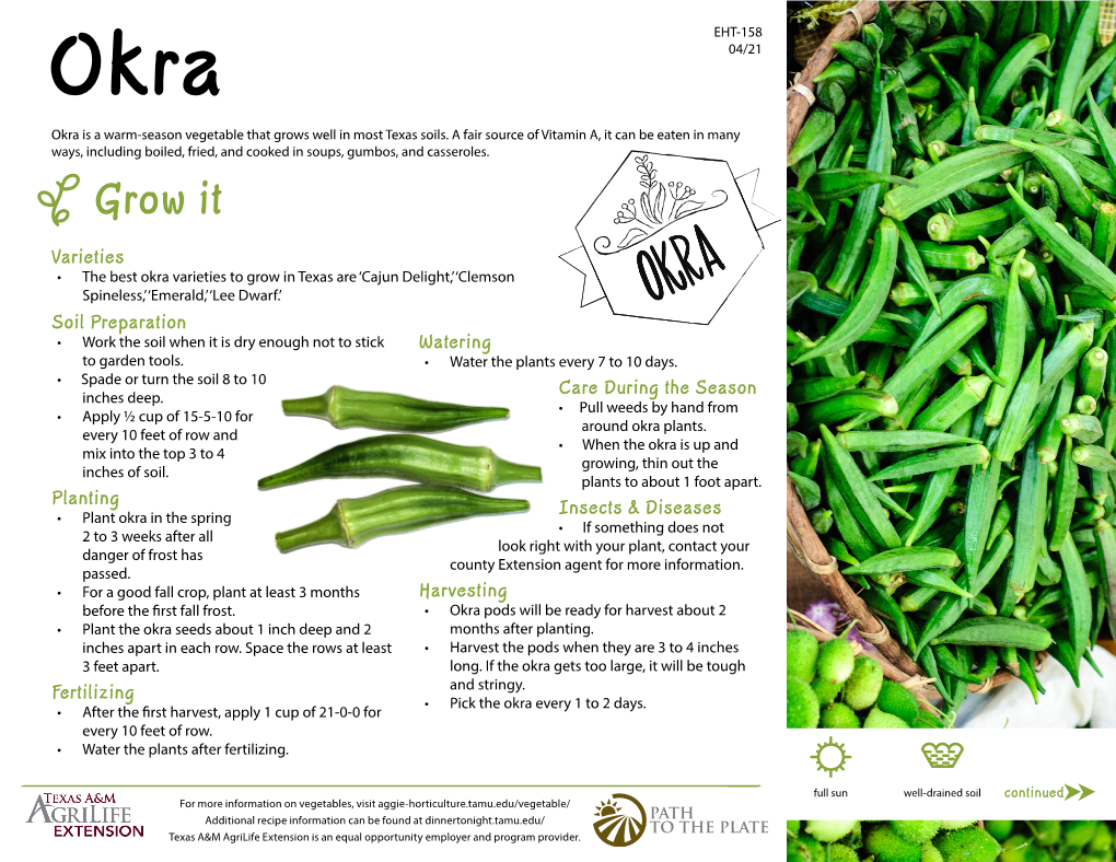 Okra Diam Nonummy Nibh Lorem Ipsum Dolor Sit Amet, Lorem Ipsum Okra Is a Warm-Season Vegetable That Grows Well in Most Texas Soils