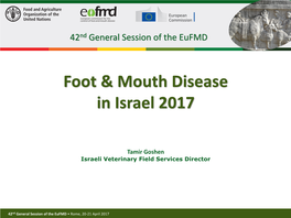 41St General Session of the Eufmd