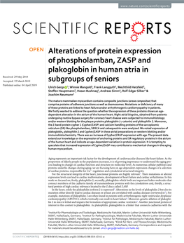 Alterations of Protein Expression of Phospholamban, ZASP And