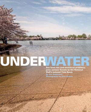 Under Water: the National Mall's Tidal Basin