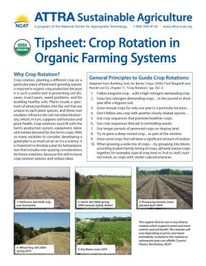 Crop Rotation in Organic Farming Systems