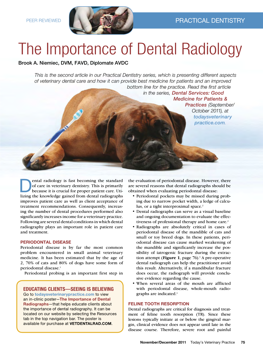 The Importance of Dental Radiology Brook A