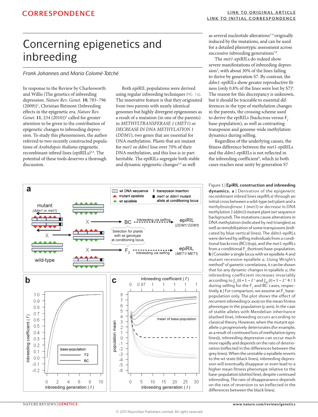 Concerning Epigenetics and Inbreeding