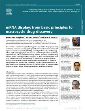Mrna Display: from Basic Principles to KEYNOTE REVIEW