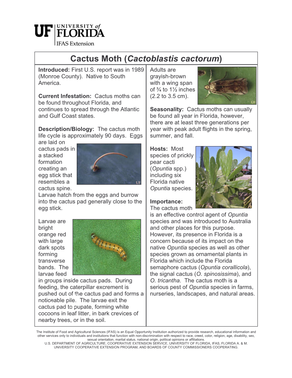 Cactus Moth (Cactoblastis Cactorum) Introduced: First U.S