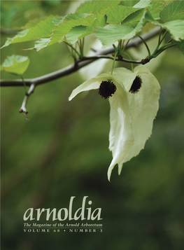 The Magazine of the Arnold Arboretum V O L U M E 6 8 • N U M B E R 3