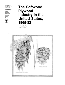 The Softwood Plywood Industry in the United States, 1965-82