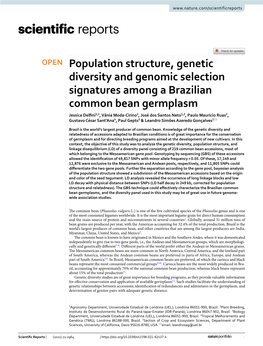 Population Structure, Genetic Diversity and Genomic Selection Signatures