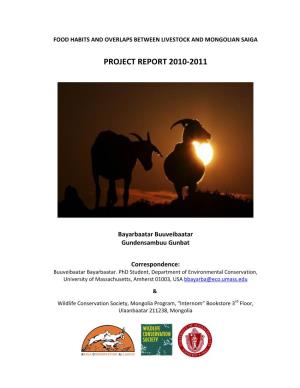 Project Report 2010-2011