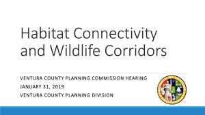 Habitat Connectivity and Wildlife Corridors
