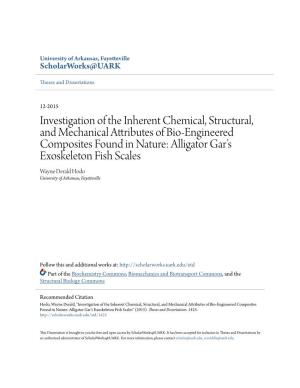 Investigation of the Inherent Chemical, Structural, and Mechanical Attributes of Bio-Engineered Composites Found in Nature
