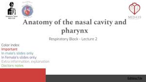 Anatomy of the Nasal Cavity and Pharynx Respiratory Block - Lecture 2
