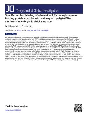 Monophosphate- Binding Protein Complex with Subsequent Poly(A) RNA Synthesis in Embryonic Chick Cartilage