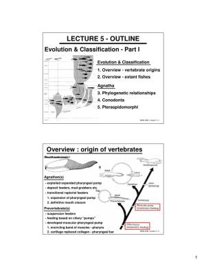 LECTURE 5 - OUTLINE Evolution & Classification - Part I