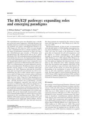 The Rb/E2F Pathway: Expanding Roles and Emerging Paradigms