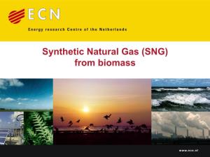 Synthetic Natural Gas (SNG) from Biomass Synthetic Natural Gas (SNG) from Biomass