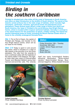 Birding in the Southern Caribbean