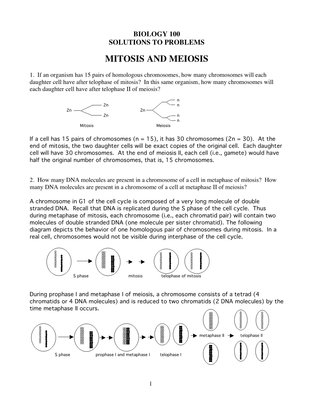 Mitosis and Meiosis