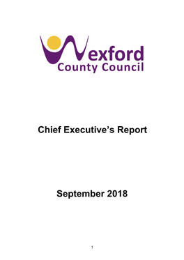 Chief Executive's Report