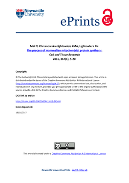 The Process of Mammalian Mitochondrial Protein Synthesis