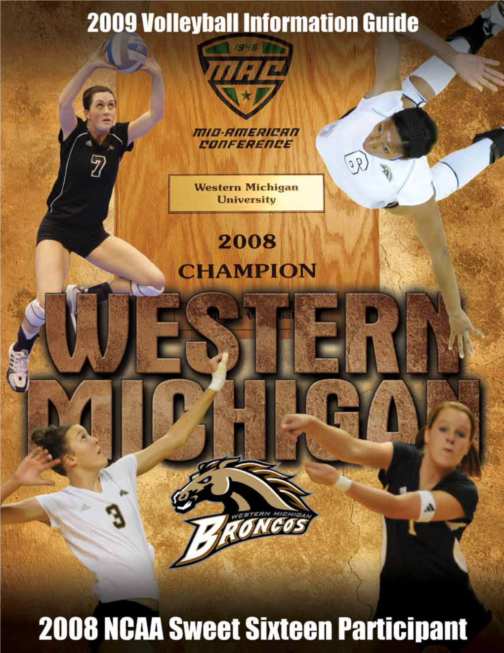 Western Michigan 2008 Season Statistics