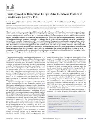 Ferric-Pyoverdine Recognition by Fpv Outer Membrane Proteins of Pseudomonas Protegens Pf-5