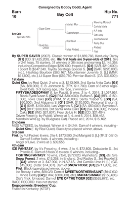 Bay Colt Barn 10 Hip No