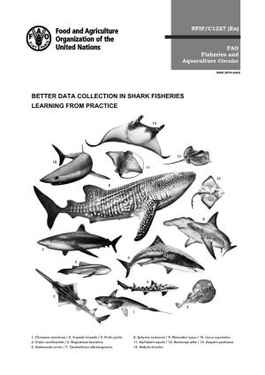 BETTER DATA COLLECTION in SHARK FISHERIES LEARNING from PRACTICE Cover Image: Cacaodesign.It FAO Fisheries and Aquaculture Circular No
