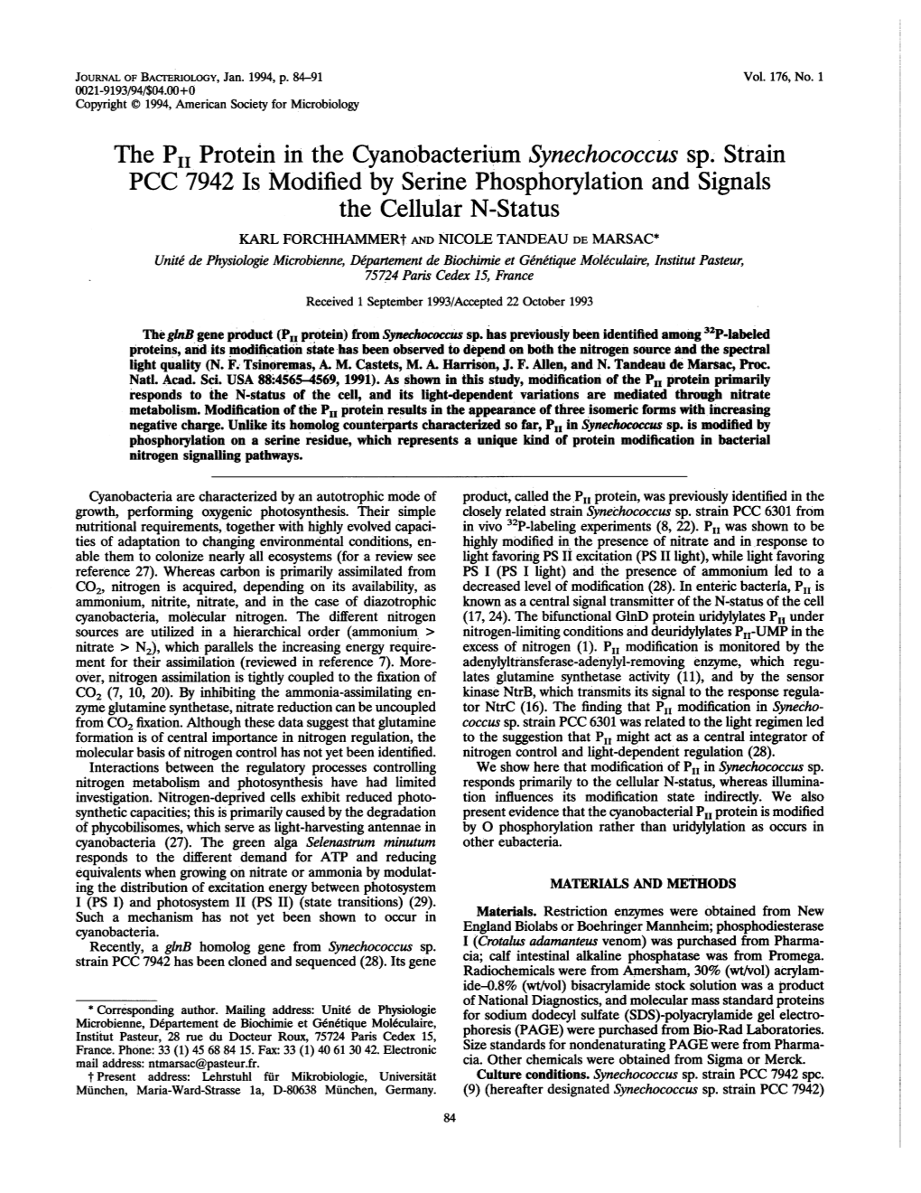 The PII Protein in the Cyanobacterium Synechococcus Sp. Strain PCC 7942 Is Modified by Serine Phosphorylation and Signals the Ce