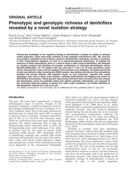 Phenotypic and Genotypic Richness of Denitrifiers Revealed by a Novel Isolation Strategy